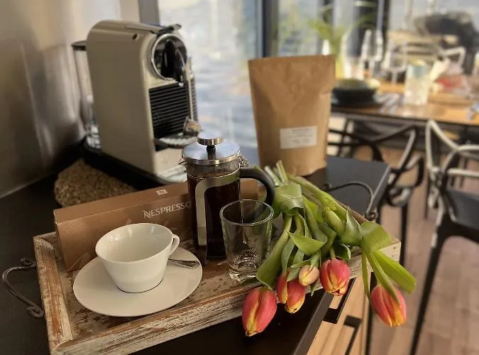 Hausboot Mit Motorboot Heiligenhafen