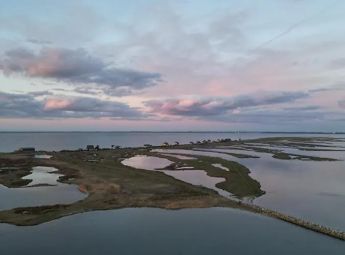 Hausboot Mit Motorboot Botel