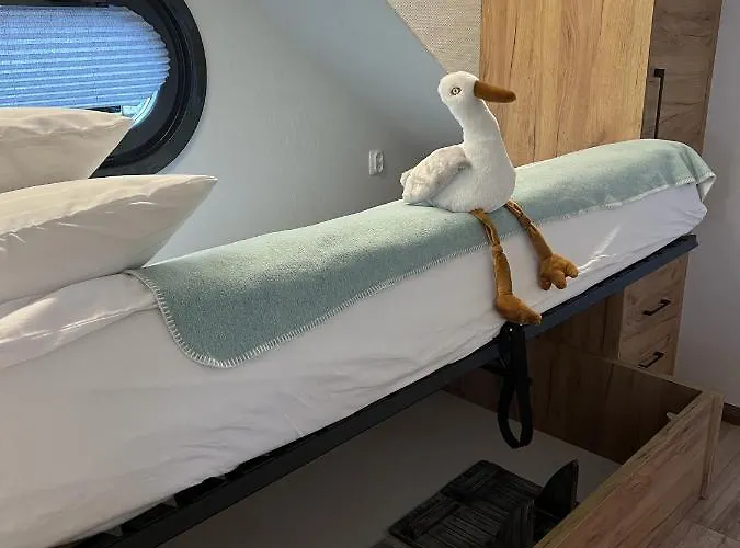 Hausboot Mit Motorboot Botel Heiligenhafen